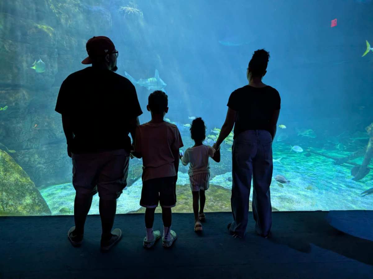 Anchored in the&nbsp;Unseen